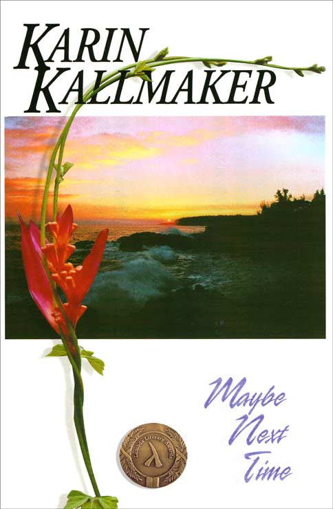Cover, Maybe Next Time by Karin Kallmaker