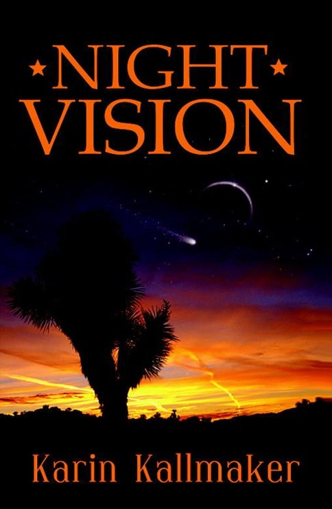 Cover, Night Vision by Karin Kallmaker