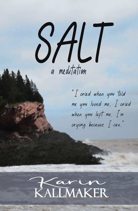 story cover with salt ocean stormy cliff